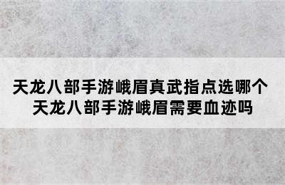天龙八部手游峨眉真武指点选哪个 天龙八部手游峨眉需要血迹吗